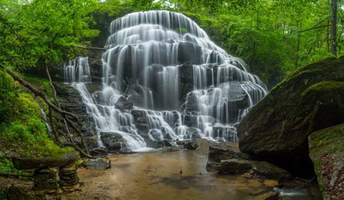 Waterfall Yellow Branch Falls